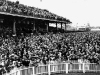 .Woodbine Crowds